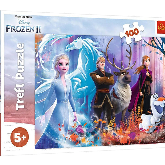 Puzzle 100 frozen